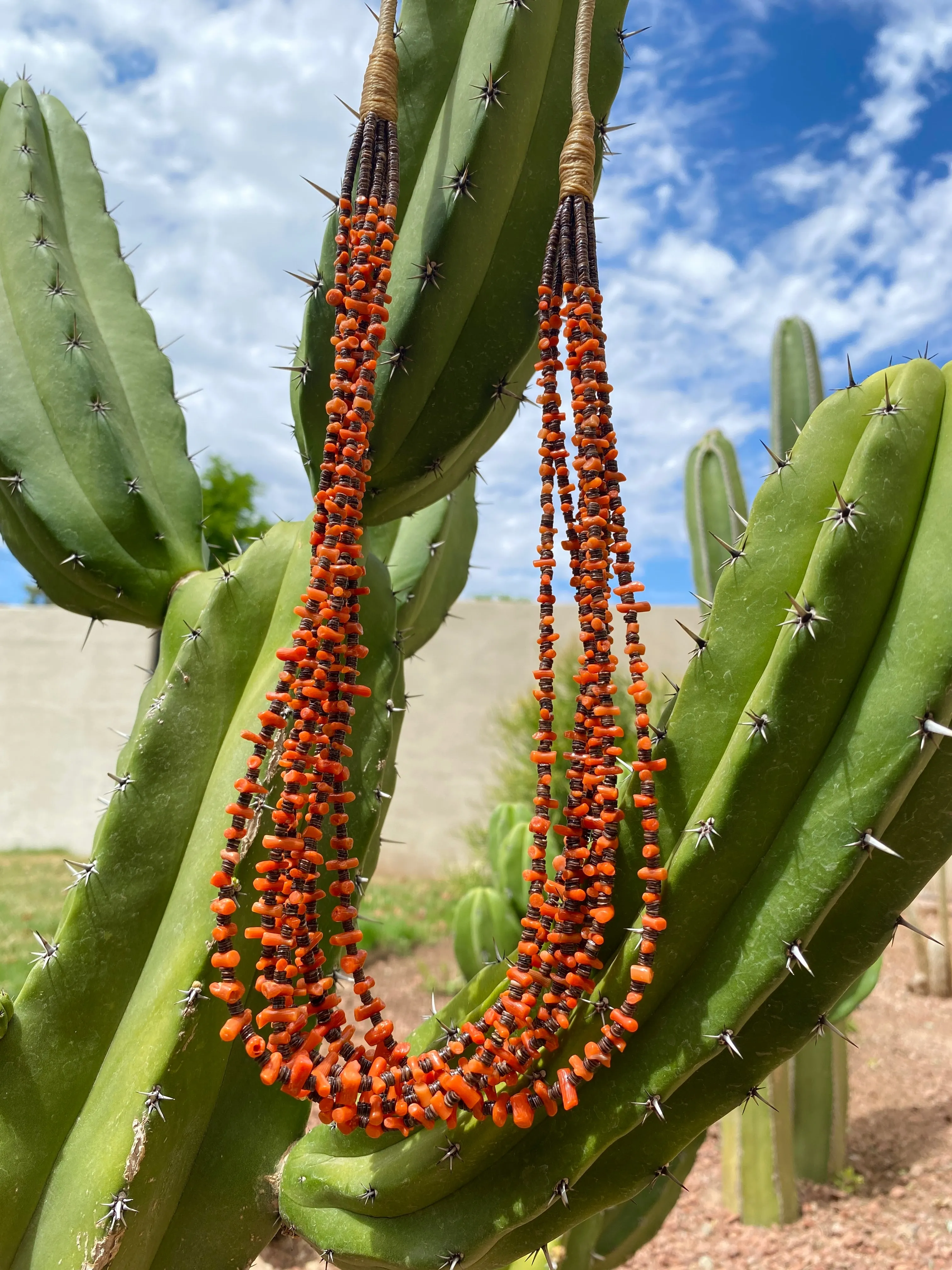 Apple Coral and Heishi ShellNecklace Santo Domingo