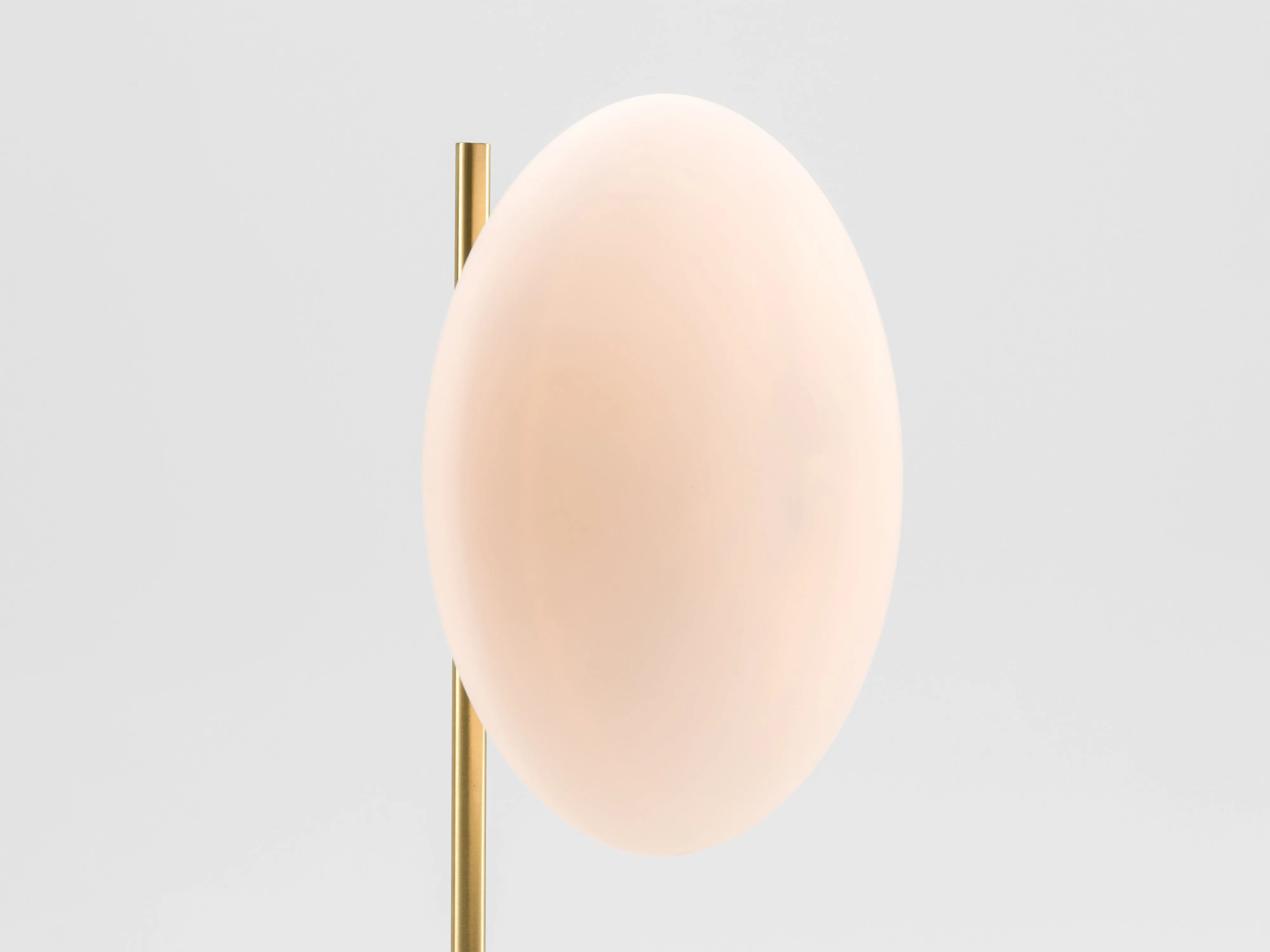 Brass ellipse table lamp