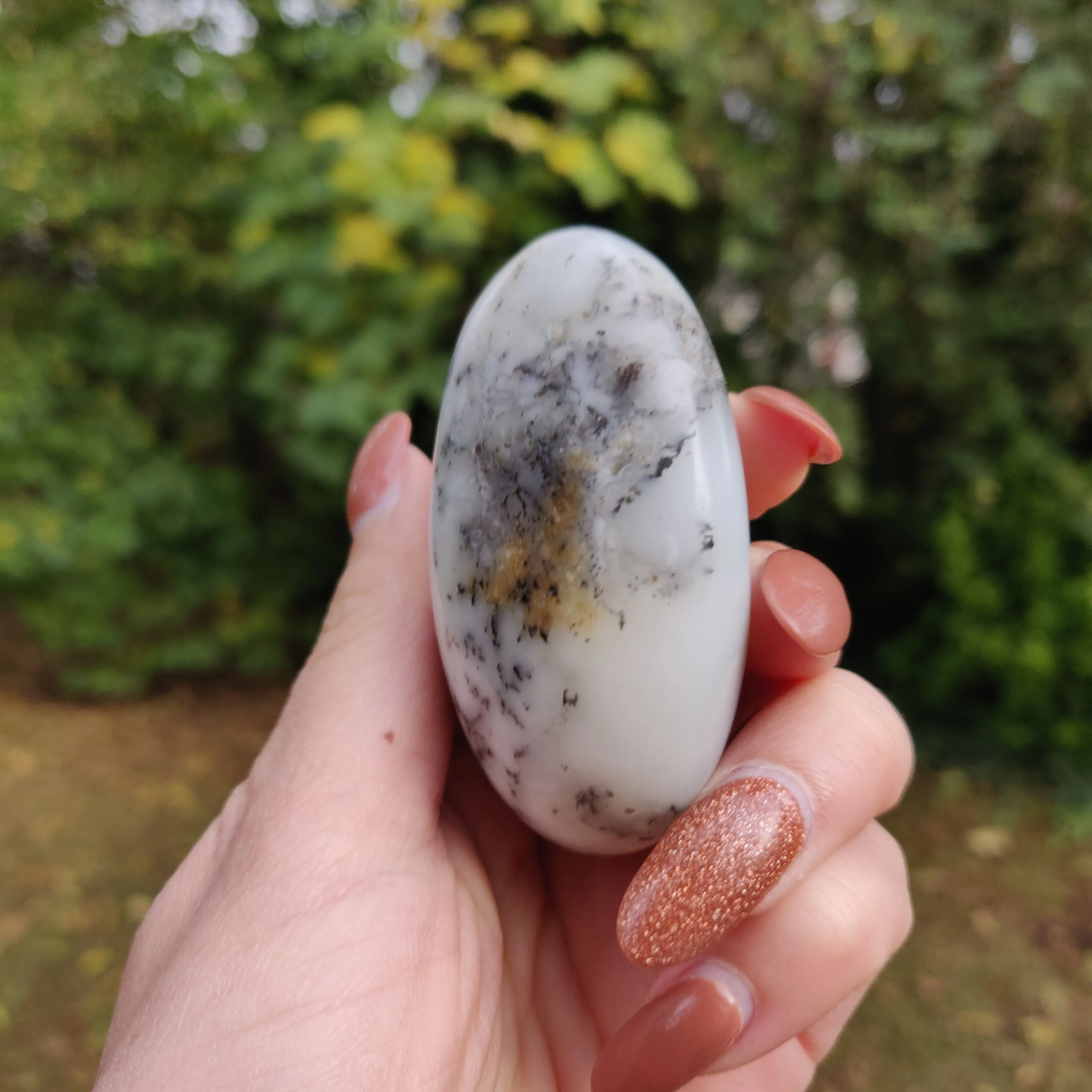 Dendritic Opal  Palm Stone (#14)