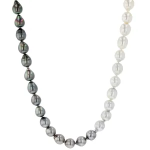 Graduated White to Tahitian Ombre Pearl Strand