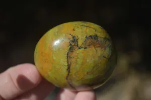 Polished Green Opal Galet / Palm Stones  x 12 From Antsirabe, Madagascar