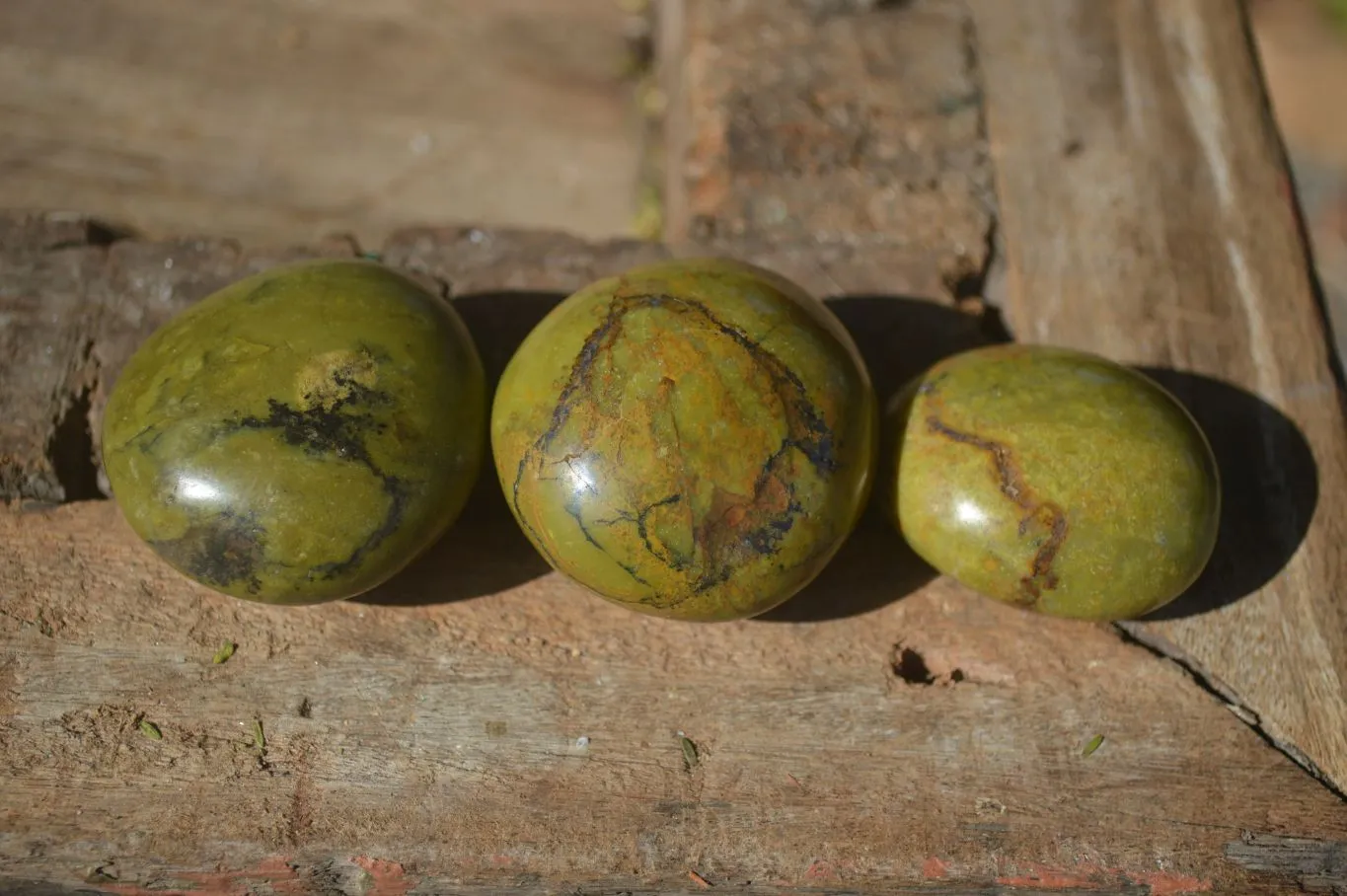 Polished Green Opal Galet / Palm Stones  x 12 From Antsirabe, Madagascar