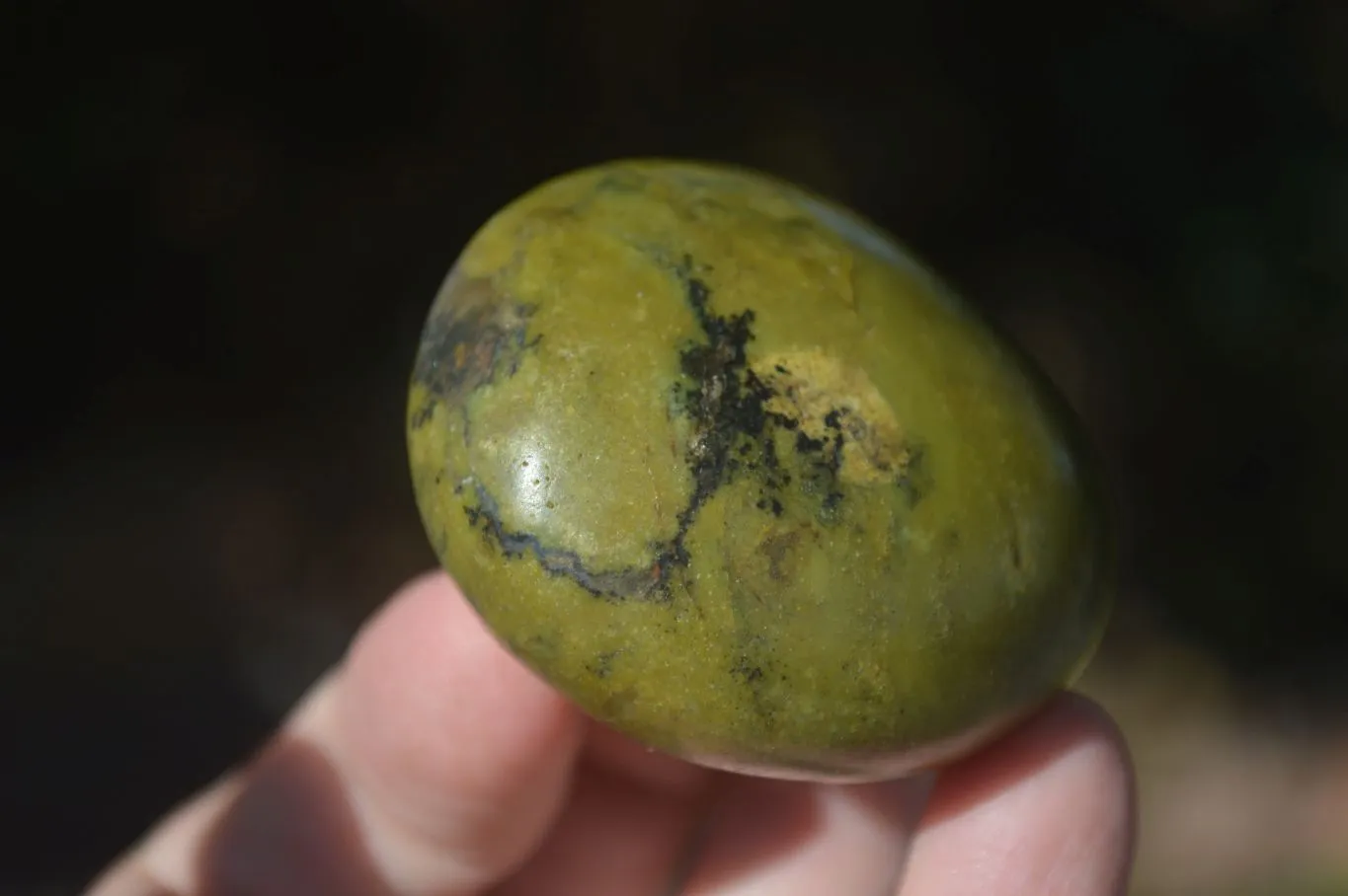 Polished Green Opal Galet / Palm Stones  x 12 From Antsirabe, Madagascar