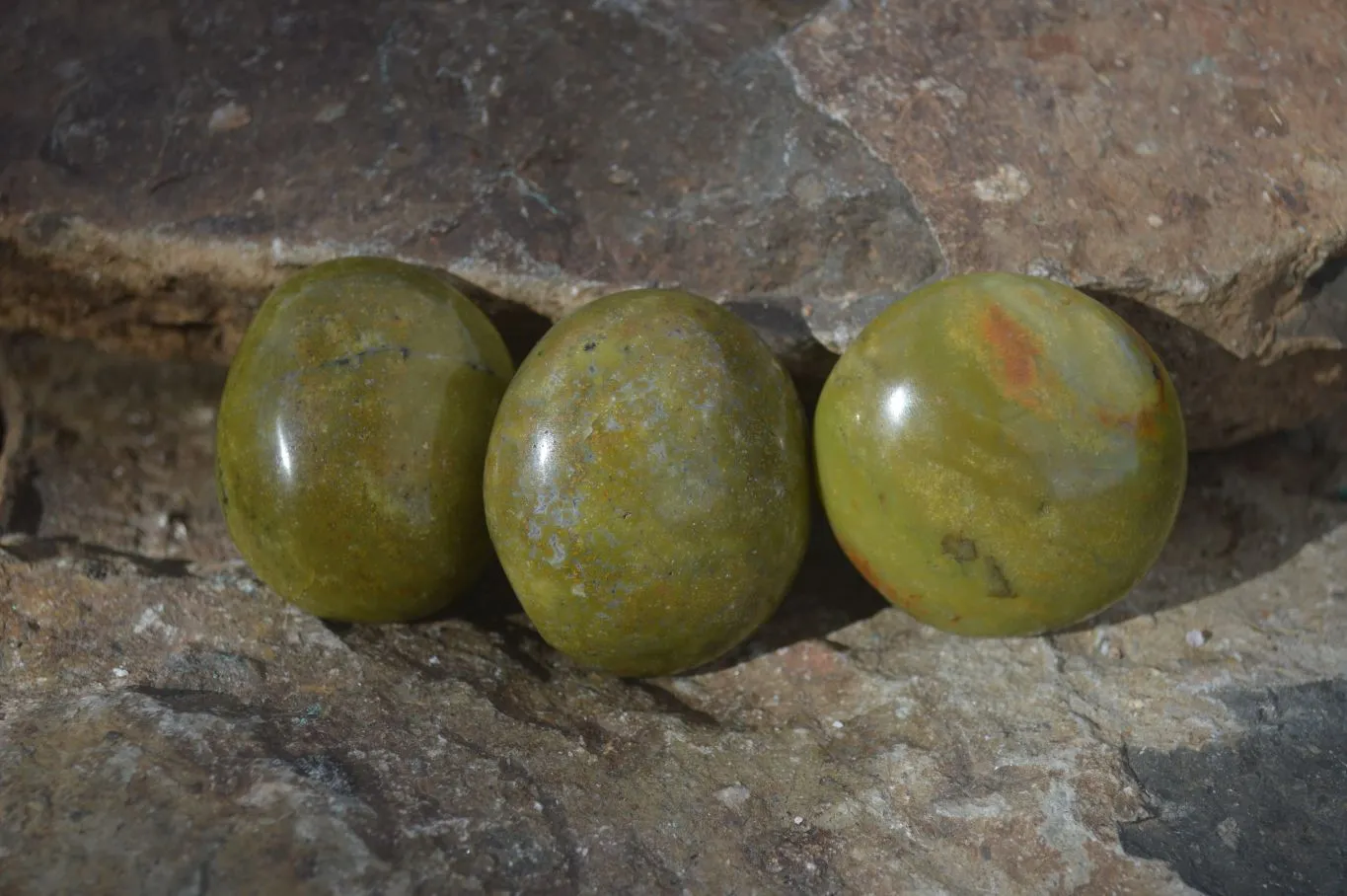 Polished Green Opal Galet / Palm Stones  x 12 From Antsirabe, Madagascar