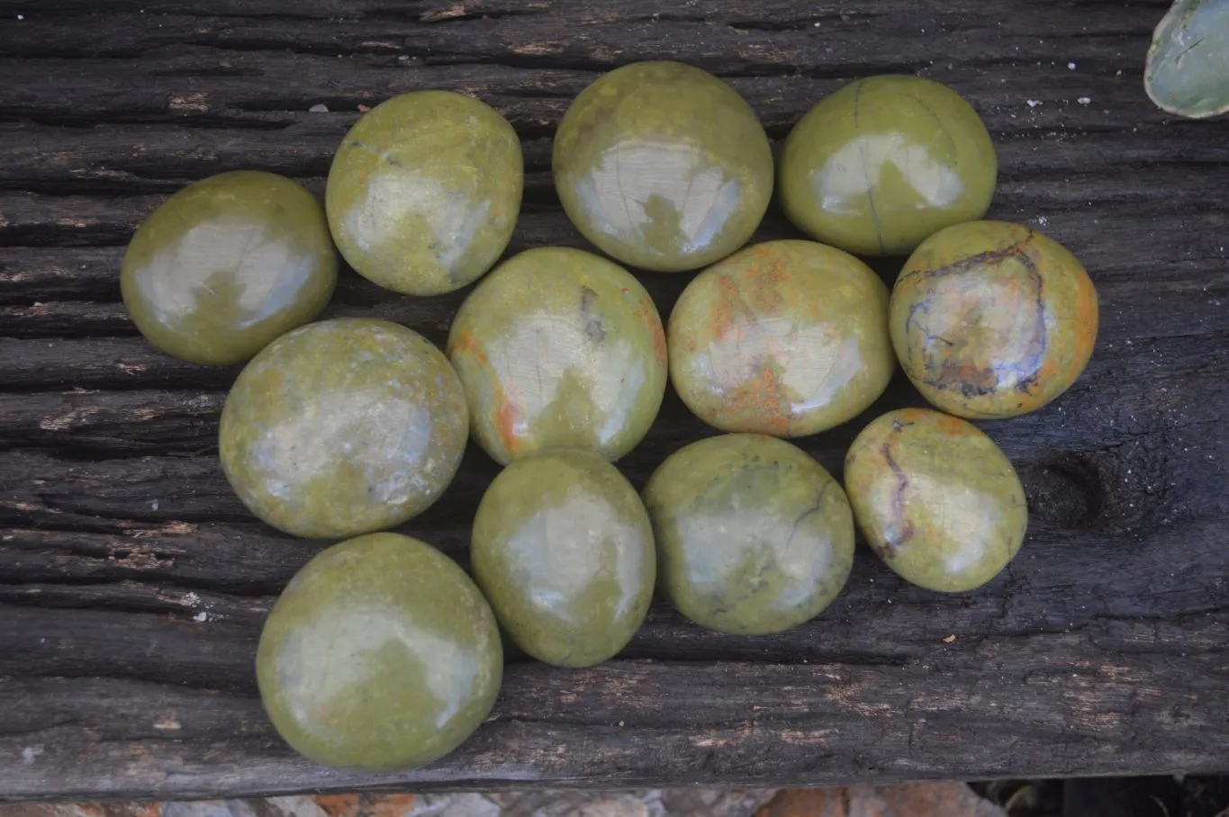 Polished Green Opal Galet / Palm Stones  x 12 From Antsirabe, Madagascar