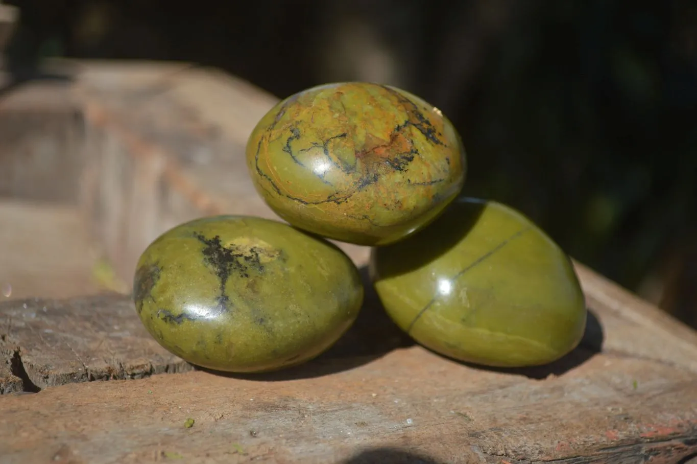 Polished Green Opal Galet / Palm Stones  x 12 From Antsirabe, Madagascar