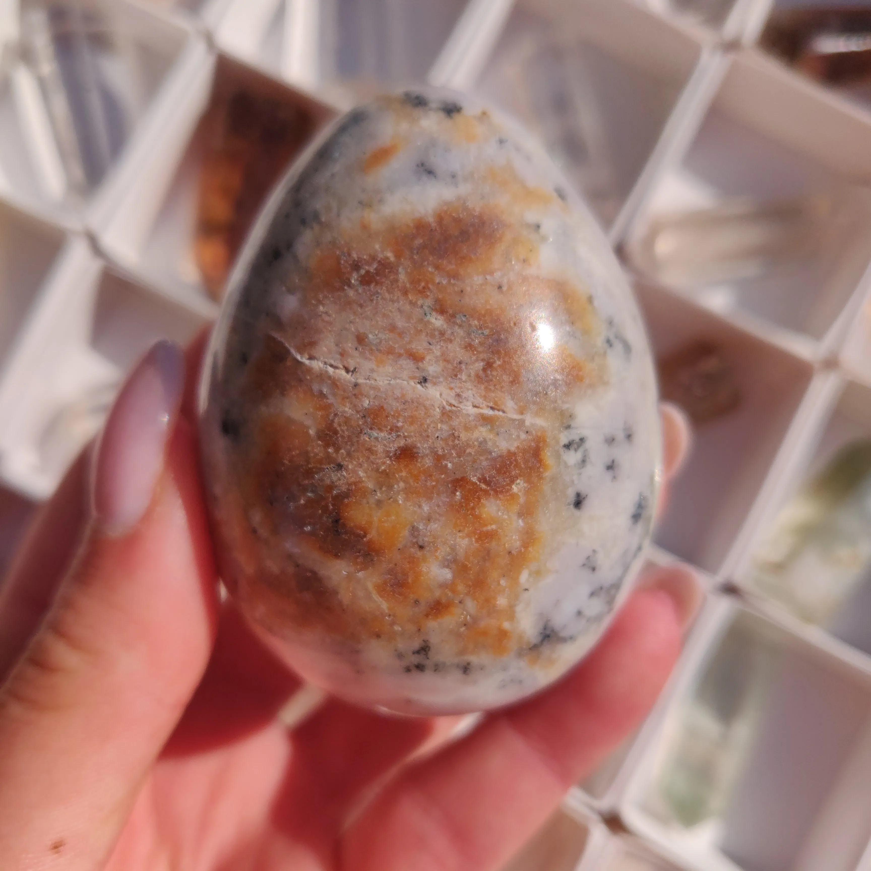 Purple Dendritic Opal Egg (#1)