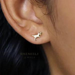 Tiny T-Rex Dinosaur Stud Earrings, Tyrannosaurus Earrings, Unisex, Gold, Silver SHEMISLI - SS153